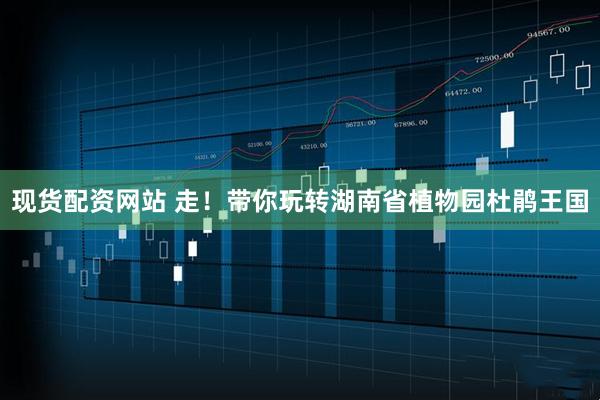 现货配资网站 走！带你玩转湖南省植物园杜鹃王国